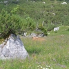 Familienwochenende Wurzeralm